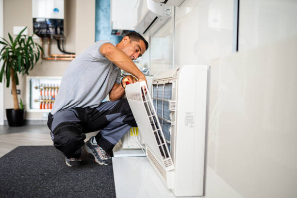Best Affordable Duct Cleaning Services  in Springerville, AZ