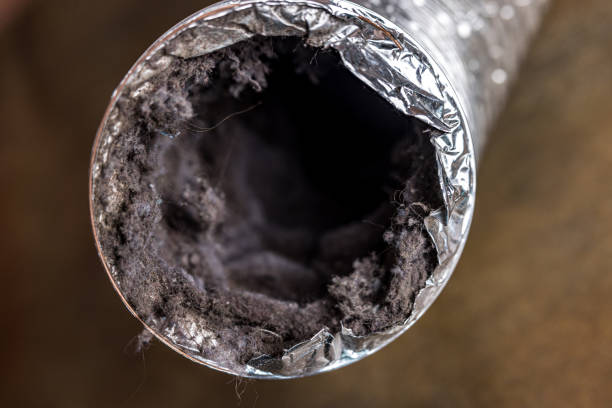 Best Air Vent Cleaning Services  in Springerville, AZ