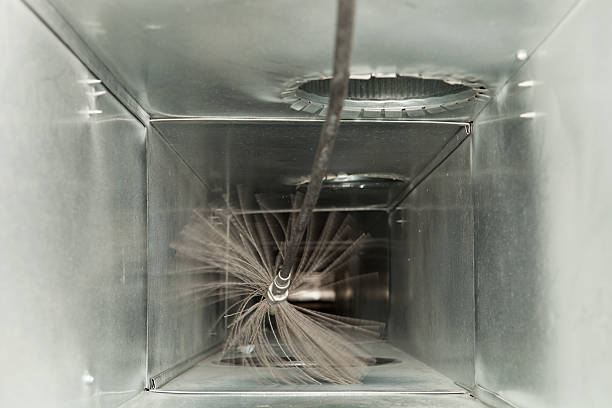 Best Residential Air Duct Cleaning  in Springerville, AZ