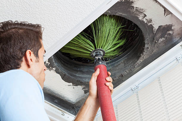 Best Commercial Air Duct Cleaning  in Springerville, AZ