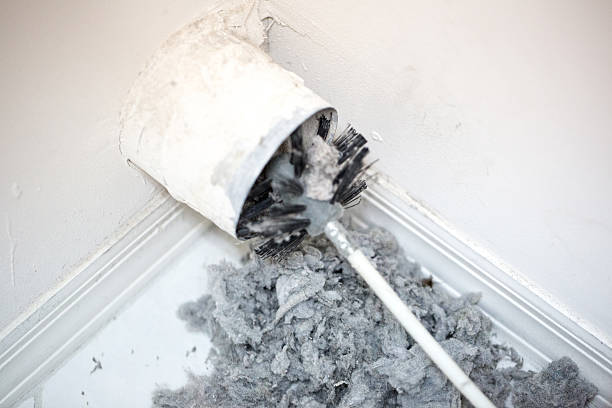 Best Air Duct Cleaning Near Me  in Springerville, AZ